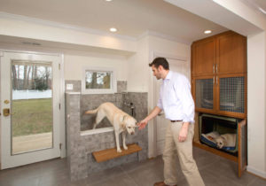 6 Things to Make Your Custom Home Pet-Friendly- Sina Architectural Design